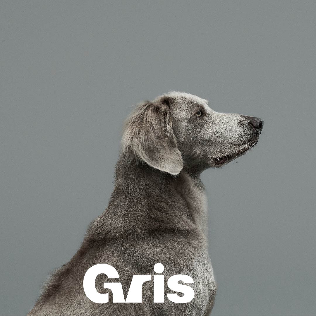 Gris by muraco